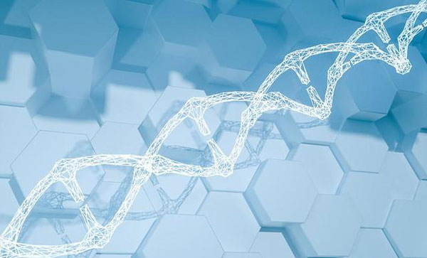 合肥網(wǎng)站制作